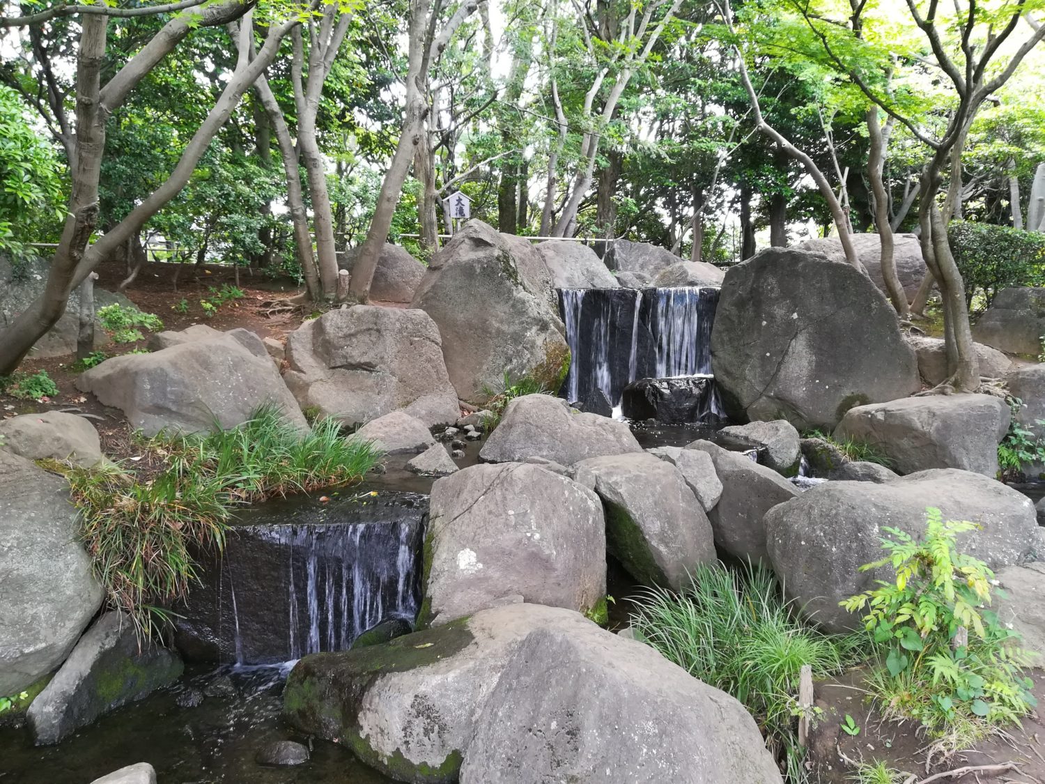 平成庭園内