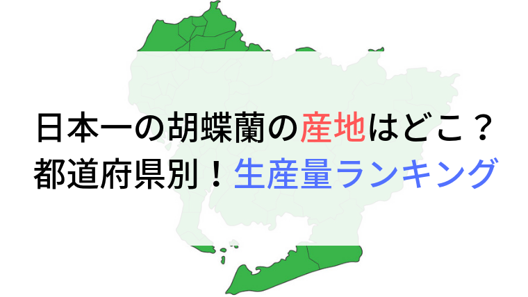 日本一の胡蝶蘭の産地はどこ 都道府県別 胡蝶蘭生産量ランキング ビジネス フラワー